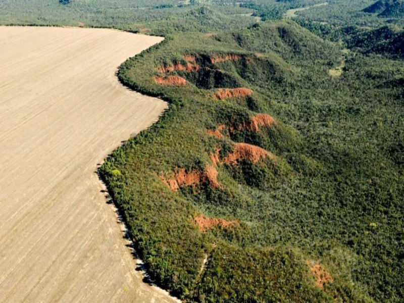 Desmatamento na amaznia cai 30,6%, com menor rea devastada em 9 anos